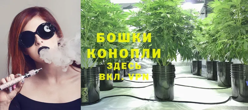 хочу наркоту  Избербаш  omg маркетплейс  МАРИХУАНА Ganja 